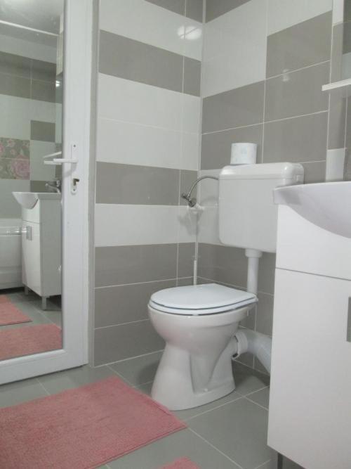 Apartament Sarra ترجوفيشت المظهر الخارجي الصورة